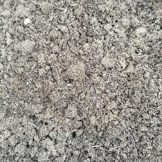  寻能投苍术种苗和赤芍种苗的老板合作，我有土地超级适合药材种植