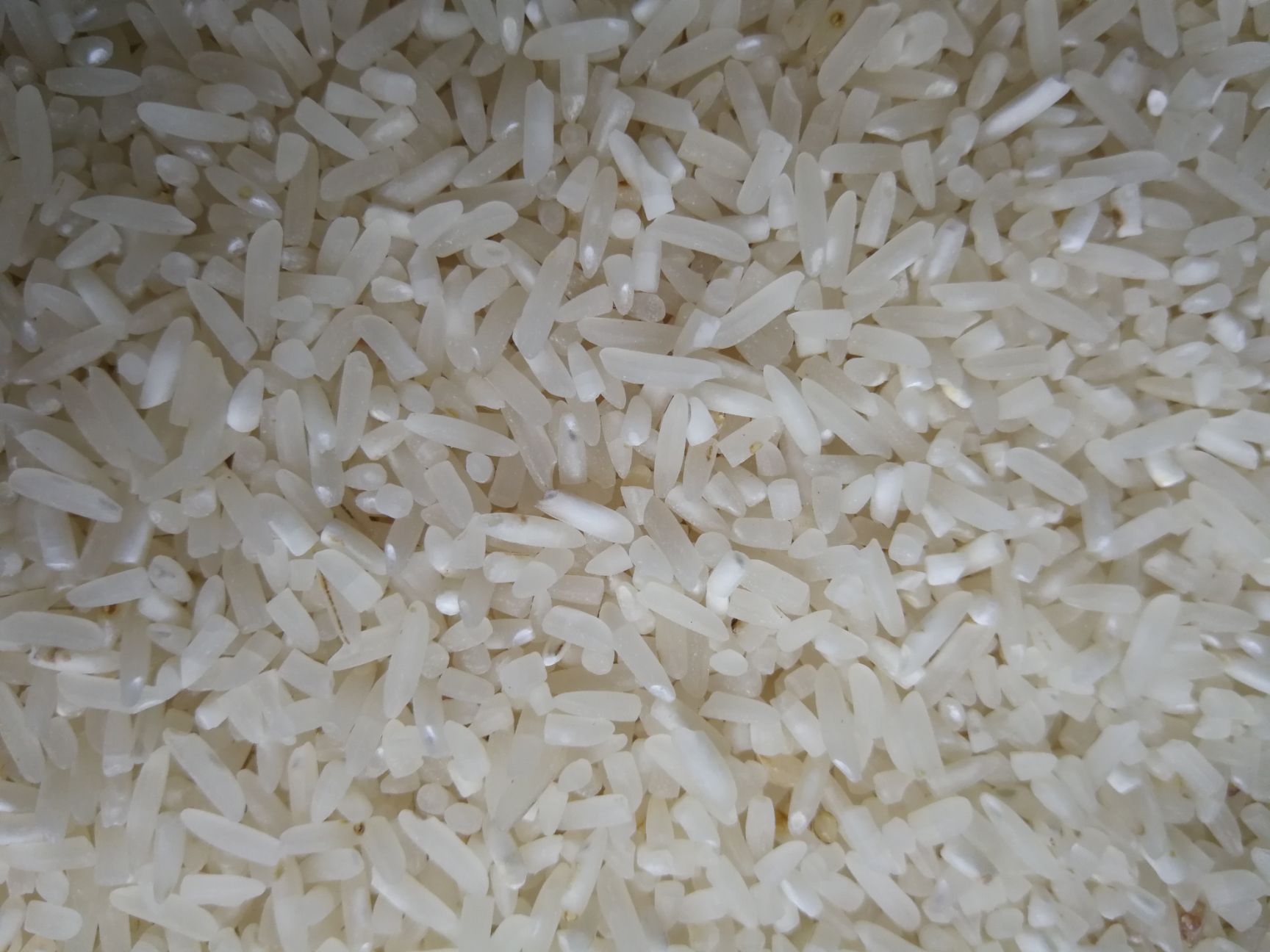 粳米 四川省乐山市井研县 二等品 一季稻 粳米