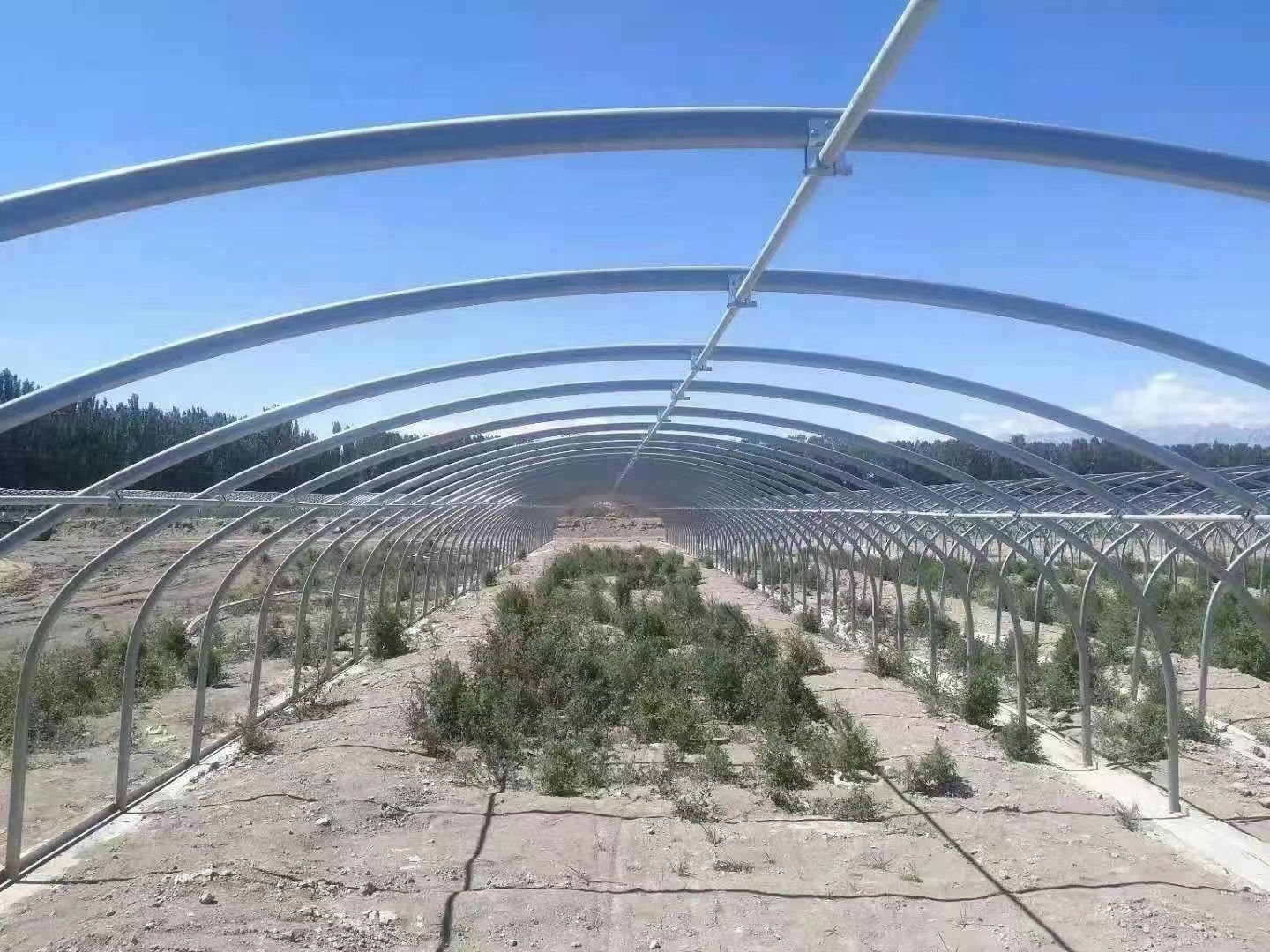 大棚 种植大棚 蔬菜大棚 温室大棚骨架、钢管
使用寿命20年