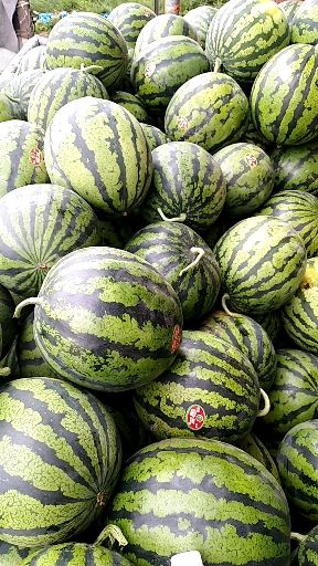 精品甜王西瓜