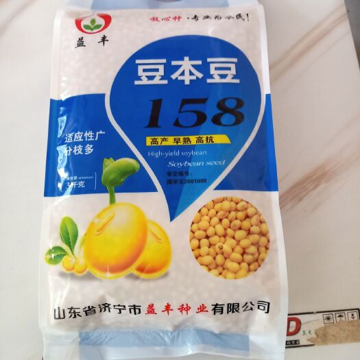 民权县黄大豆 山东省济宁市嘉祥县 生大豆 1等品 豆粒 