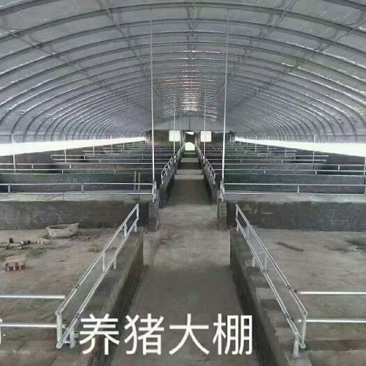 沭阳县养殖大棚