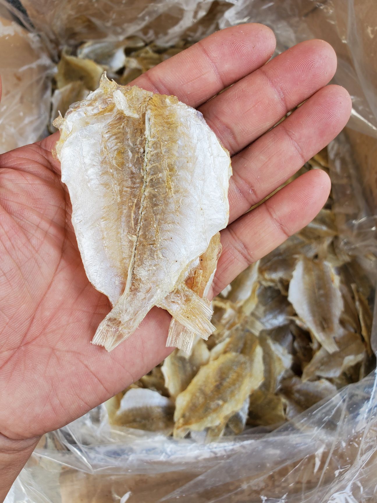 烧烤鱼片烧烤金三鱼片甜口一斤90片左右9成干以上