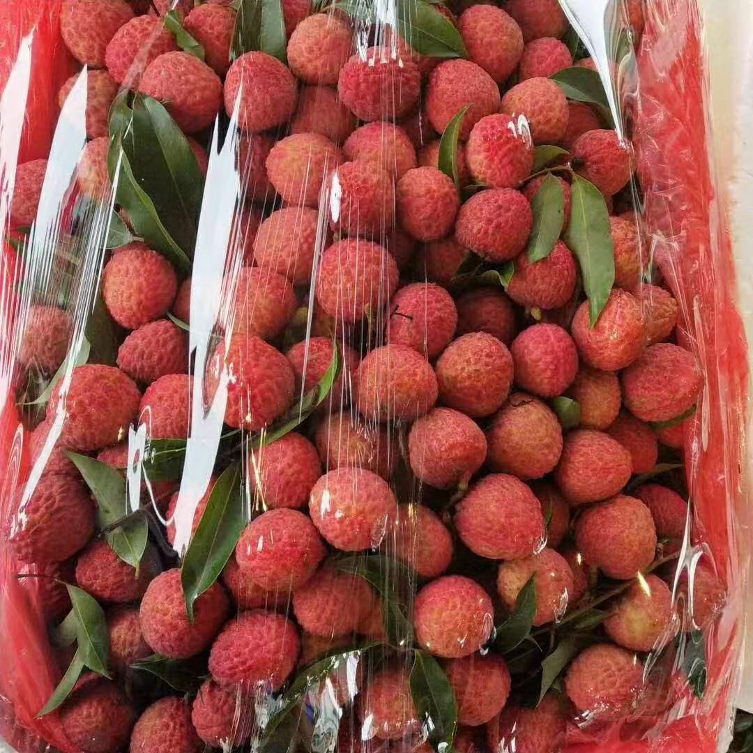 送礼（10斤/箱）白糖罂荔枝