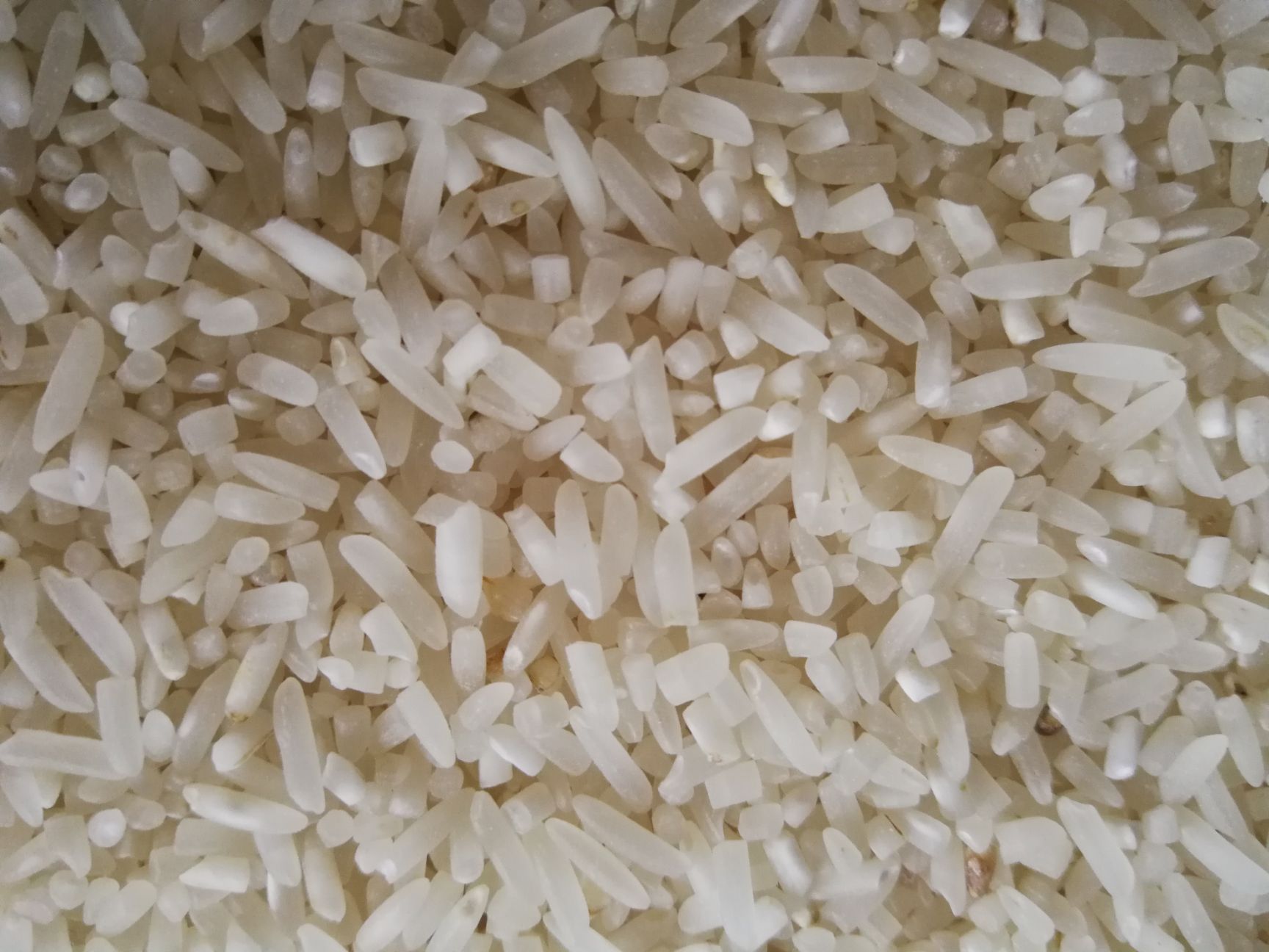 粳米 四川省乐山市井研县 二等品 一季稻 粳米
