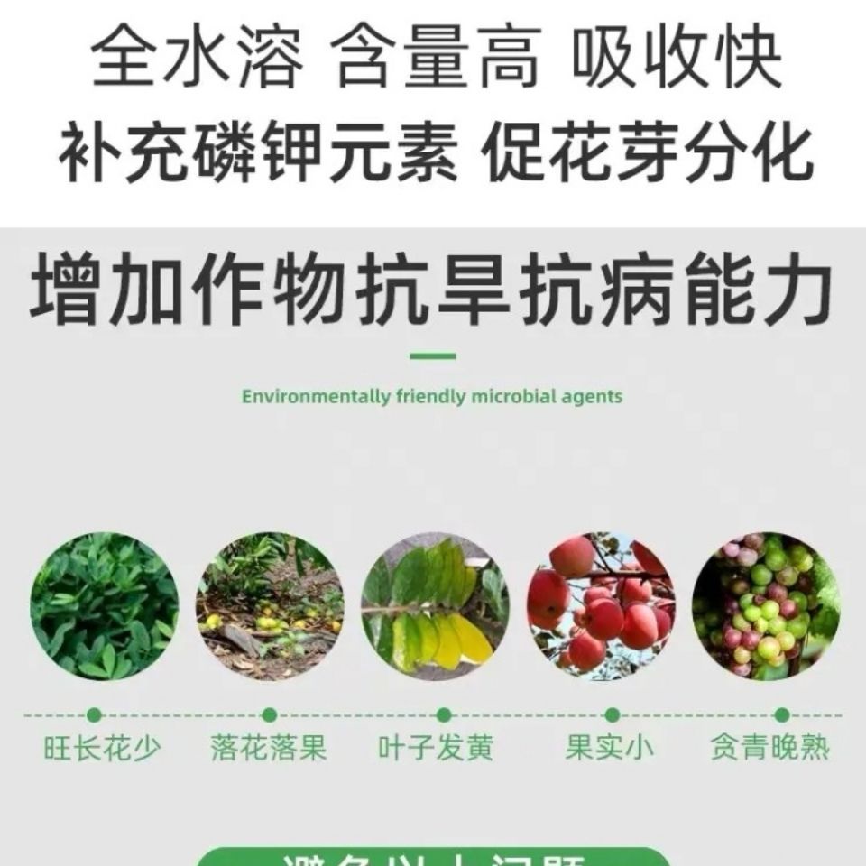 磷酸二氢钾 促花保果 增产提质