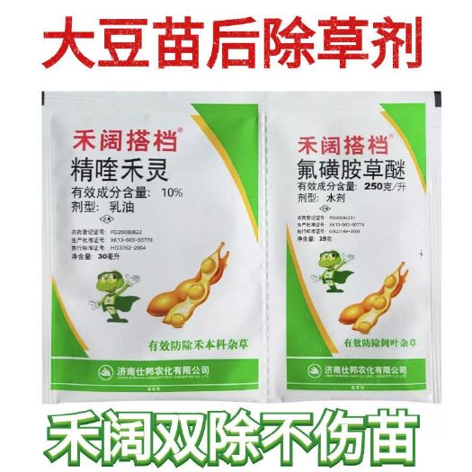 临沂 禾阔搭档精喹禾灵氟磺胺草醚一年生禾本科杂草大豆田苗后专用除草