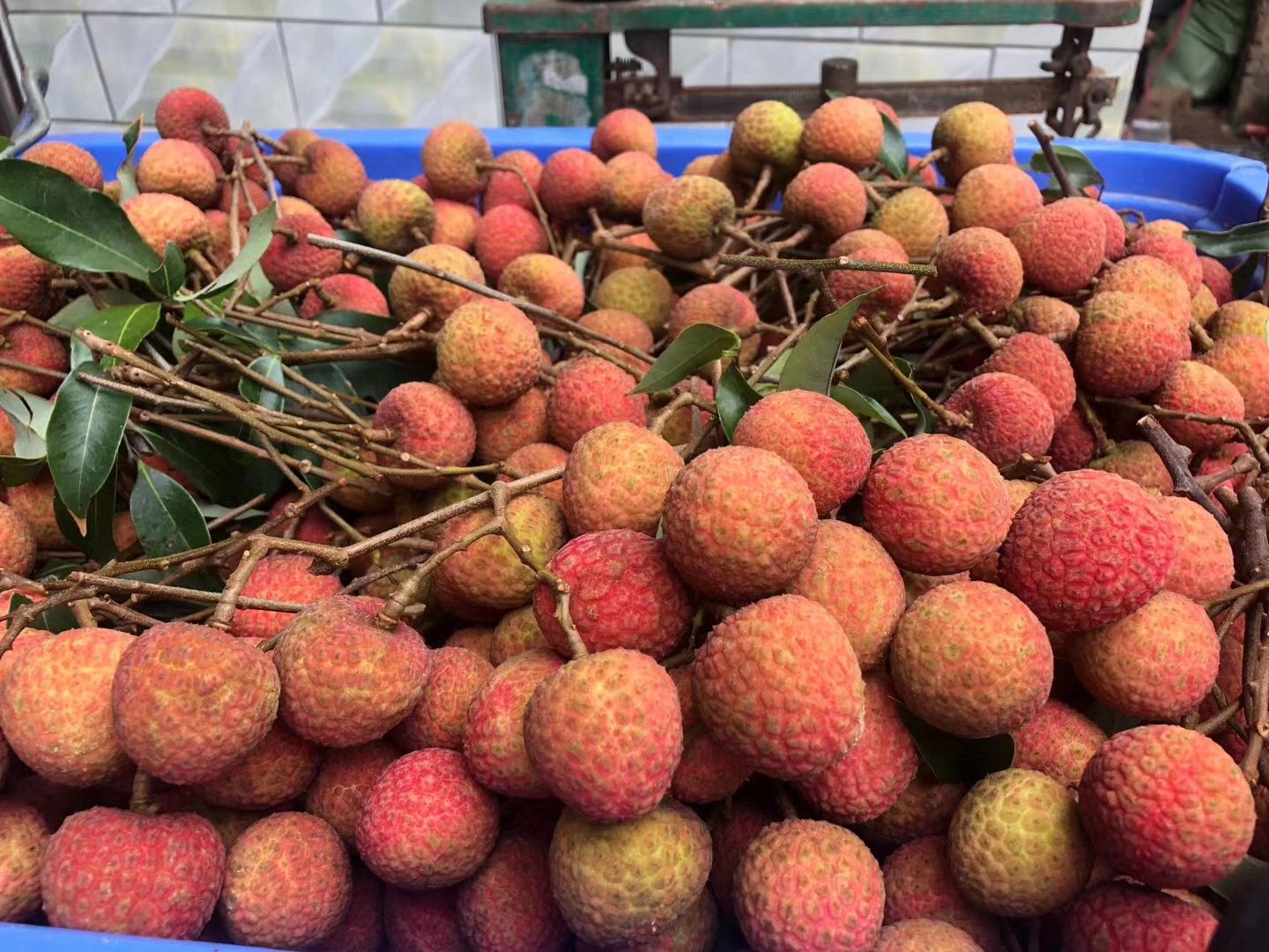 送礼（10斤/箱）白糖罂荔枝