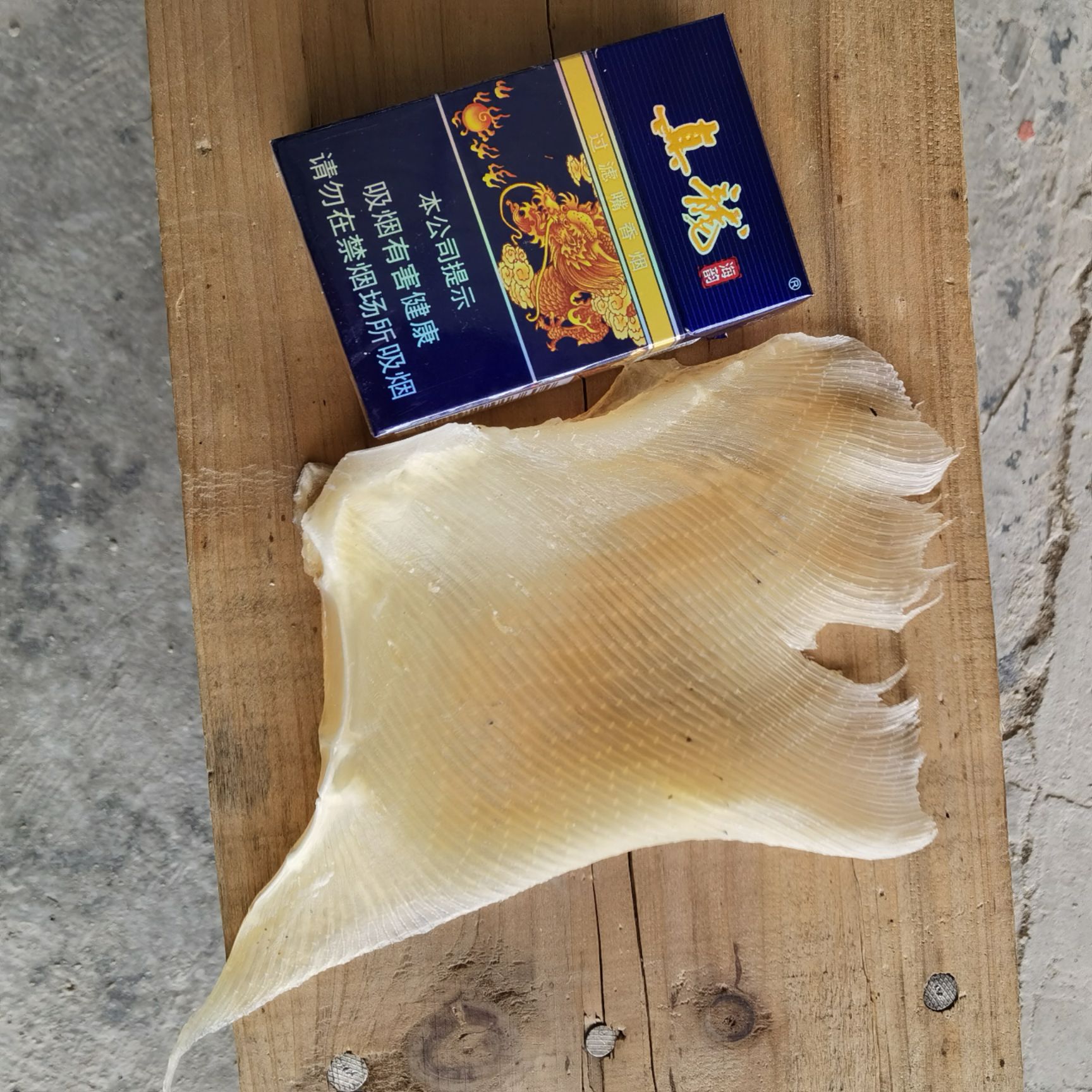 鱼皮  鱼翅  蒲鱼翅  魔鬼鱼翅  自产自销  一手货源