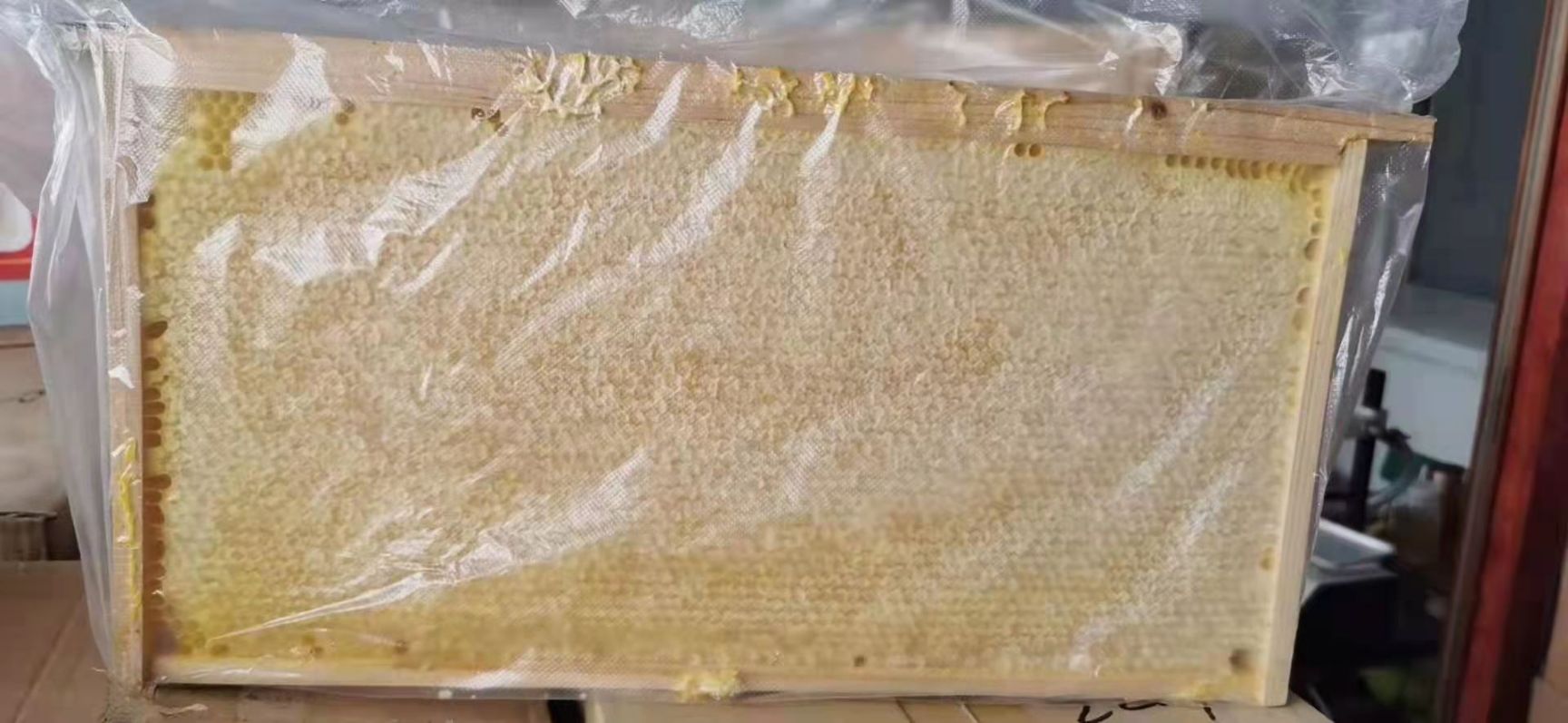 長葛市蜂巢蜜  整張新蜜脾，營養滋補封蓋率好，成熟蜂蜜。