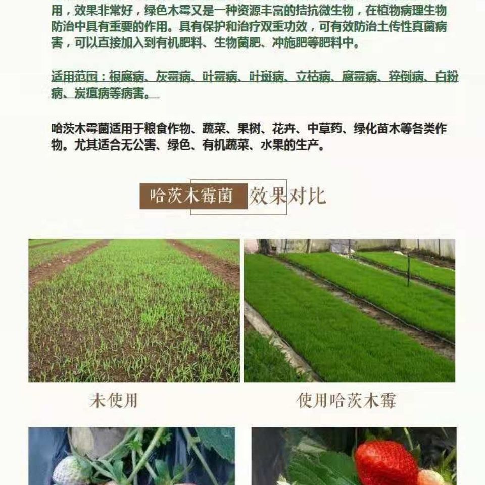 土壤微生物菌剂  哈茨木霉菌 抗死颗 抗烂苗 抗后期枯萎 消除真菌害