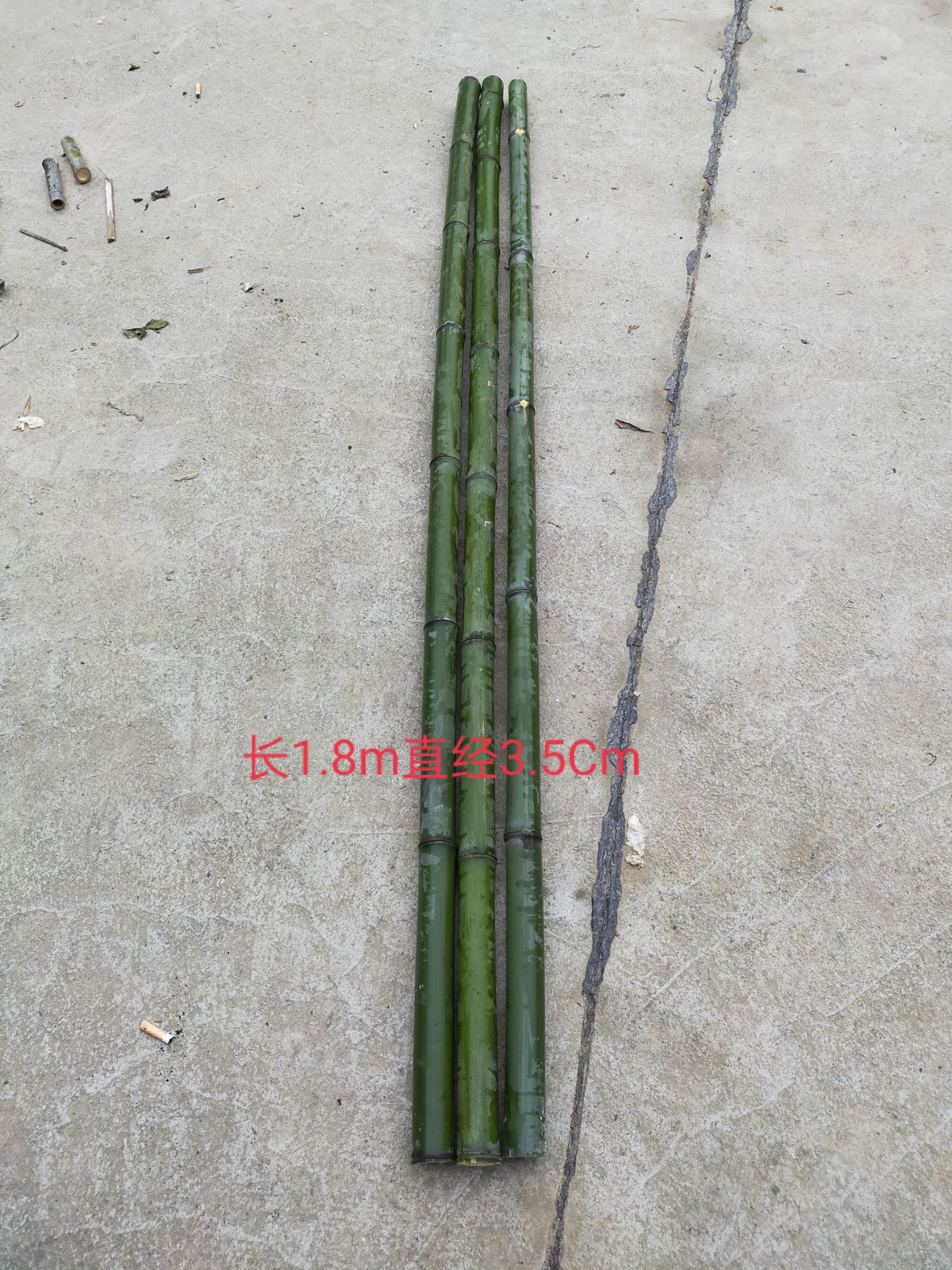 金竹 大竹杆