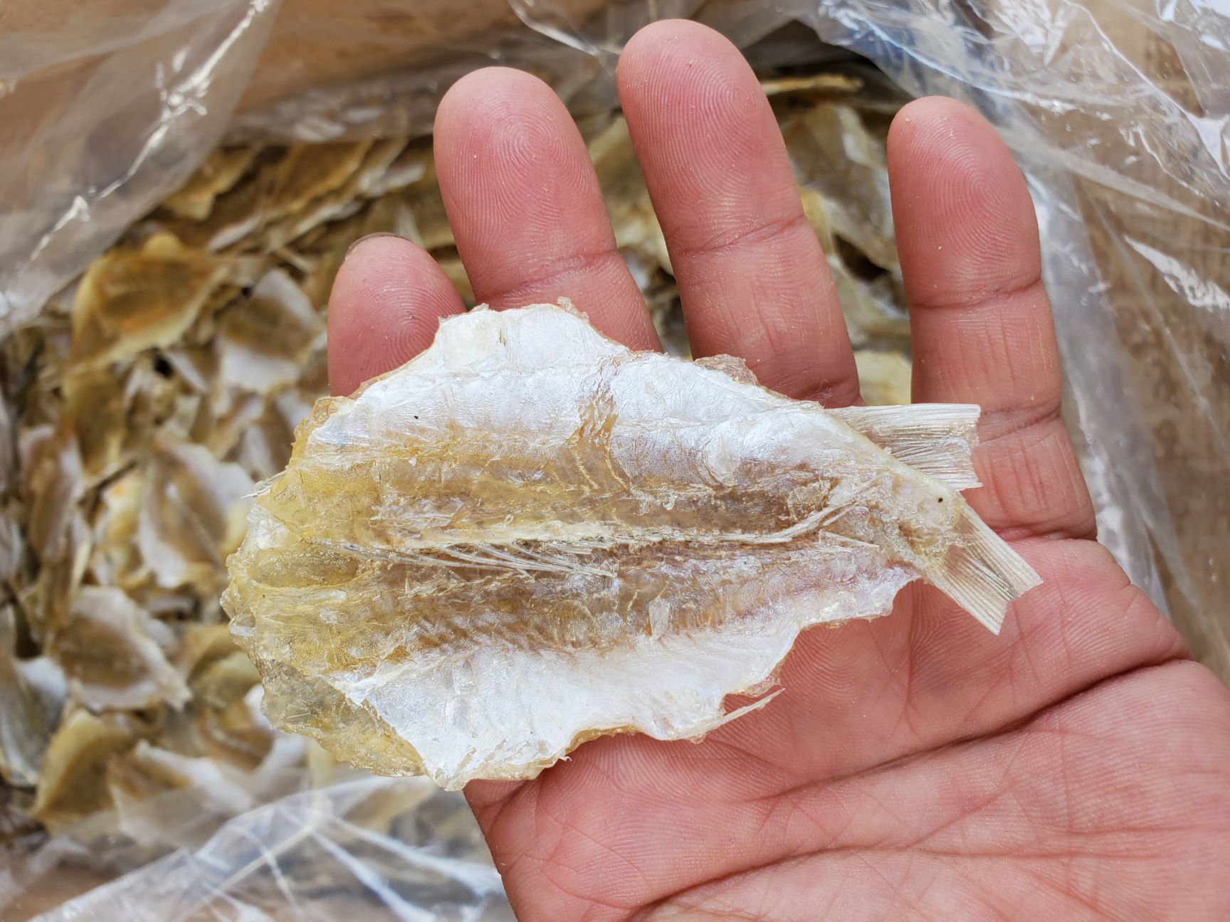 烧烤鱼片烧烤金三鱼片甜口一斤90片左右9成干以上