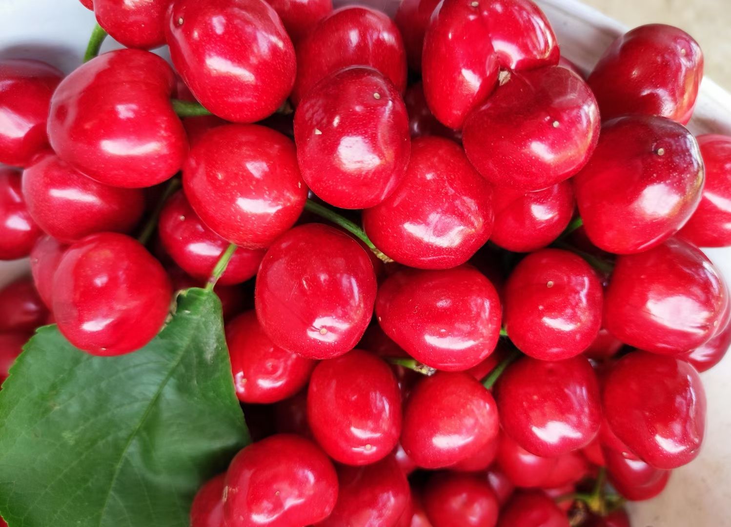 美早樱桃 万亩露天樱桃，基地直供，货源充足！