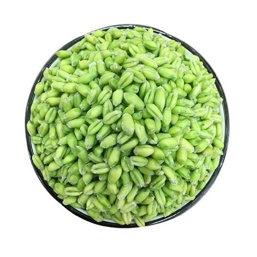 永城市2021新鲜青麦仁青麦粒速冻嫩麦籽