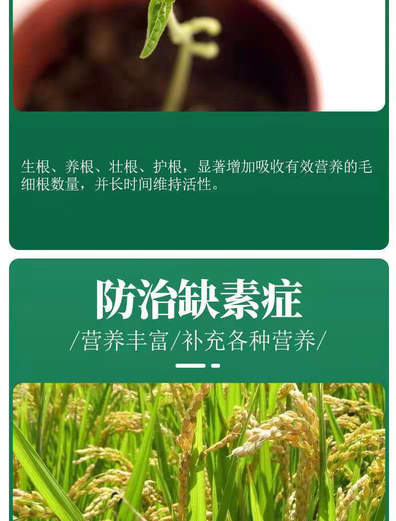 海藻鱼蛋白水溶肥，生根壮秧保花保果，40斤装