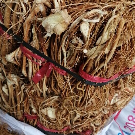 广州五指毛桃  无硫货  足干 够香
