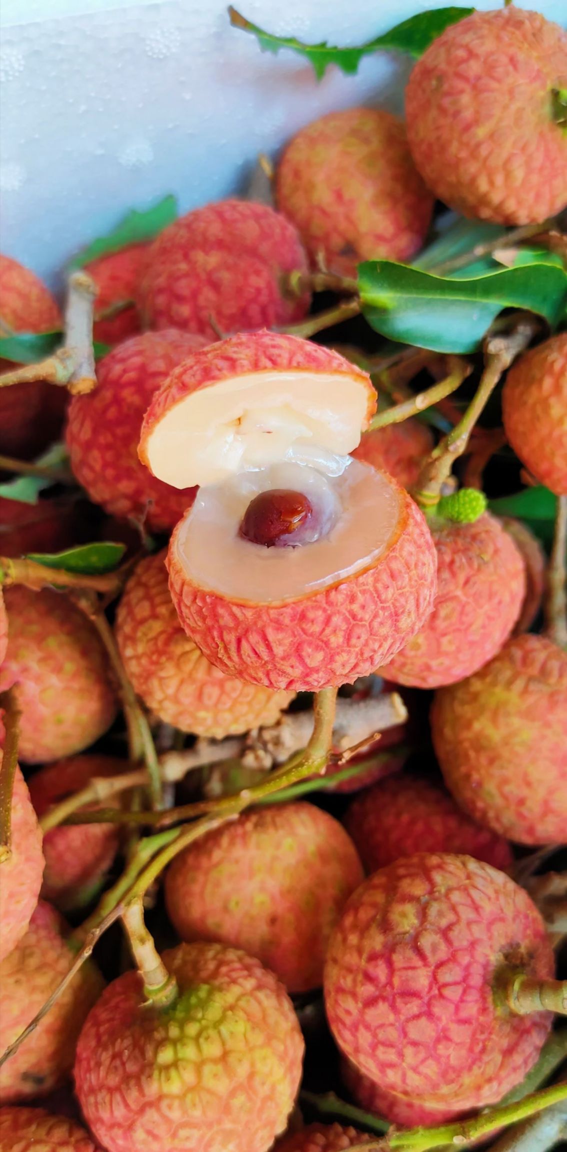 送礼（10斤/箱）白糖罂荔枝