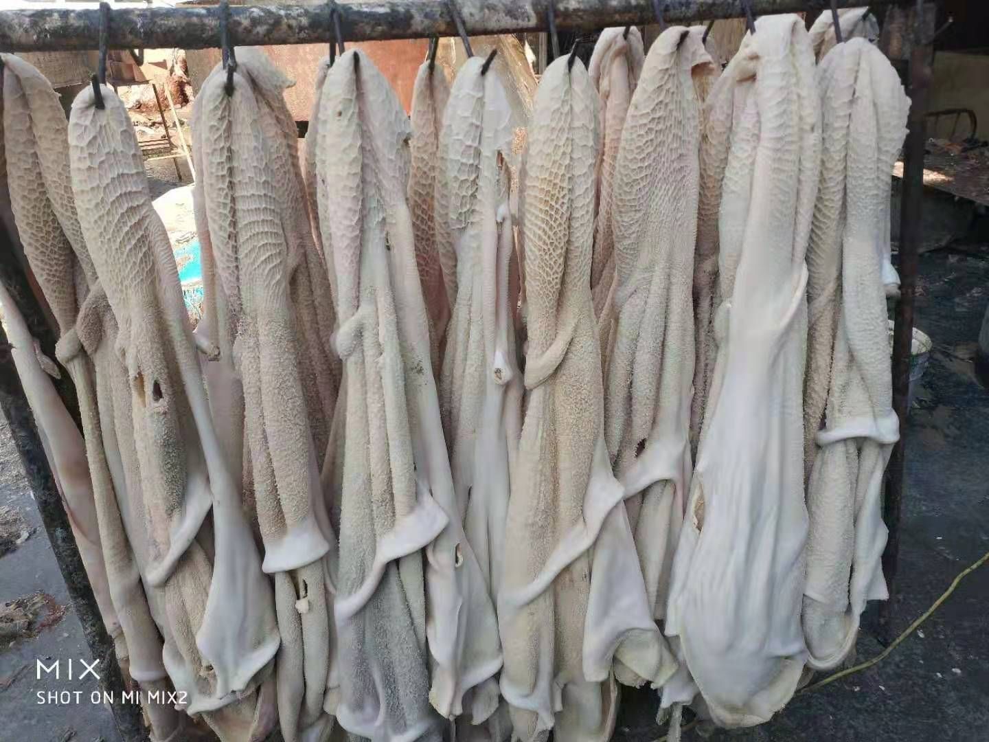 厂家直销牛肚，一手货源，欢迎选购。