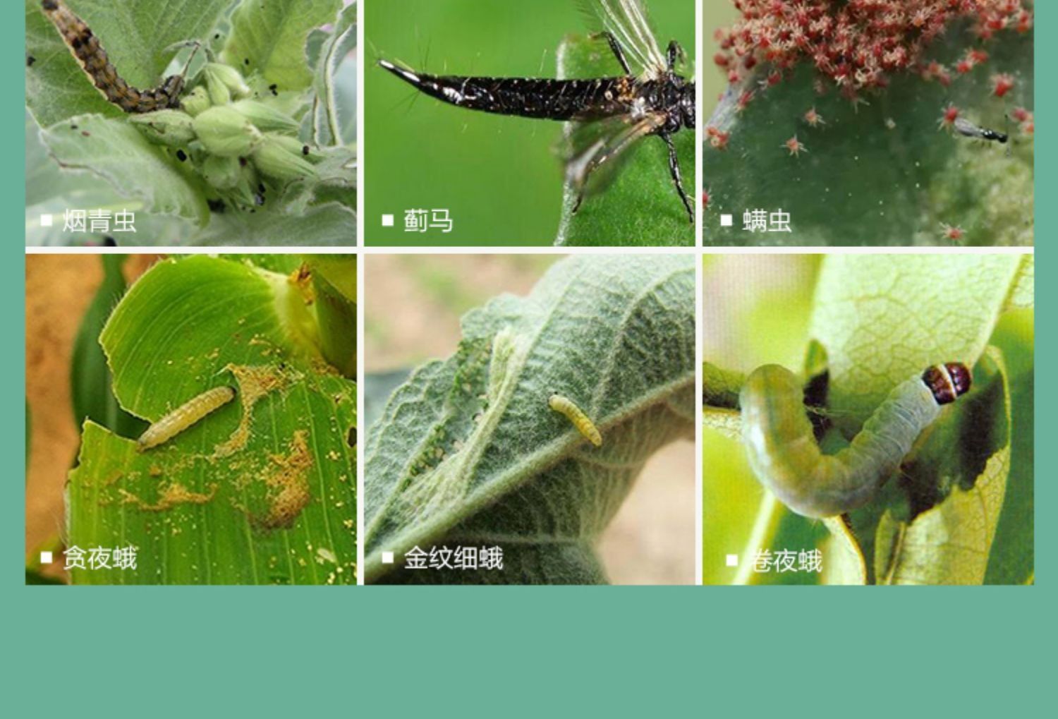 12%甲维盐虫螨腈菜青虫棉铃虫玉米螟钻心虫草地贪夜蛾蔬菜果树