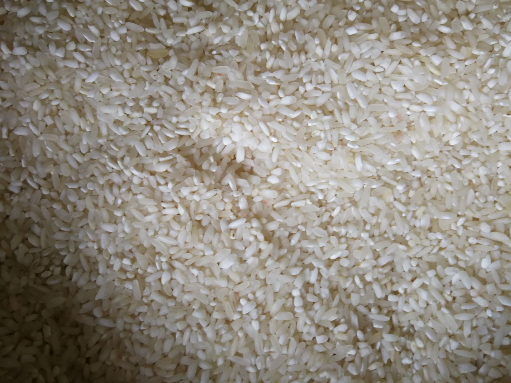 粳米 四川省乐山市井研县 二等品 一季稻 粳米