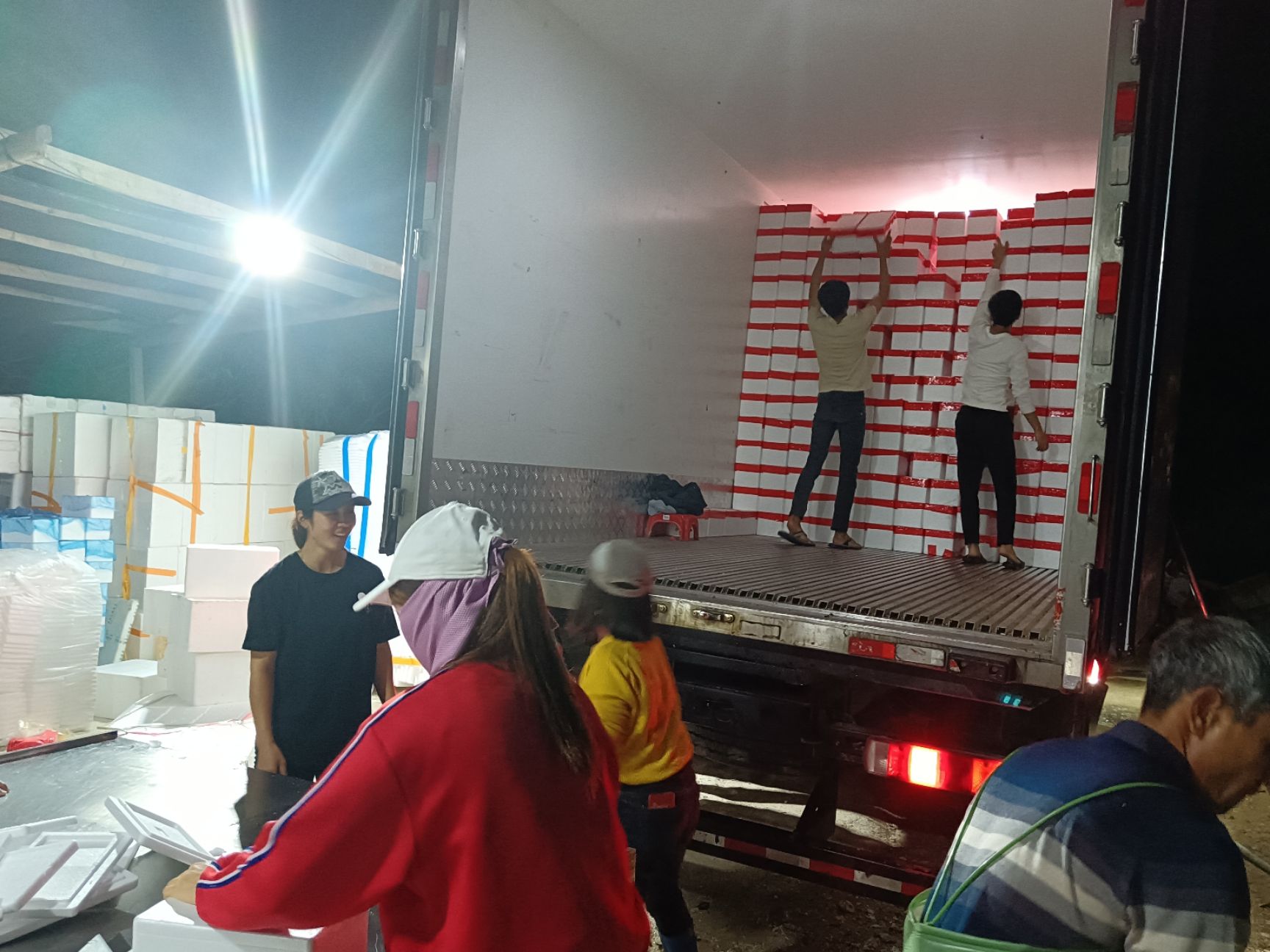 牡蛎  【精品】福建蚝三斤小包装大量供应货源质优价廉欢迎电联量大从优