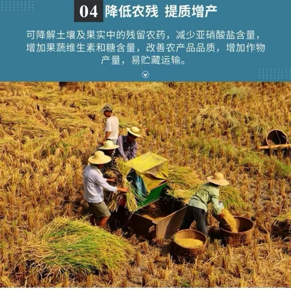 磷肥  解淀粉芽孢杆菌 改良土壤 增进肥力 有助生长
