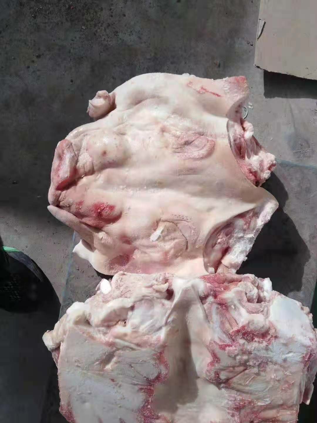 猪头  国产肥猪带耳头