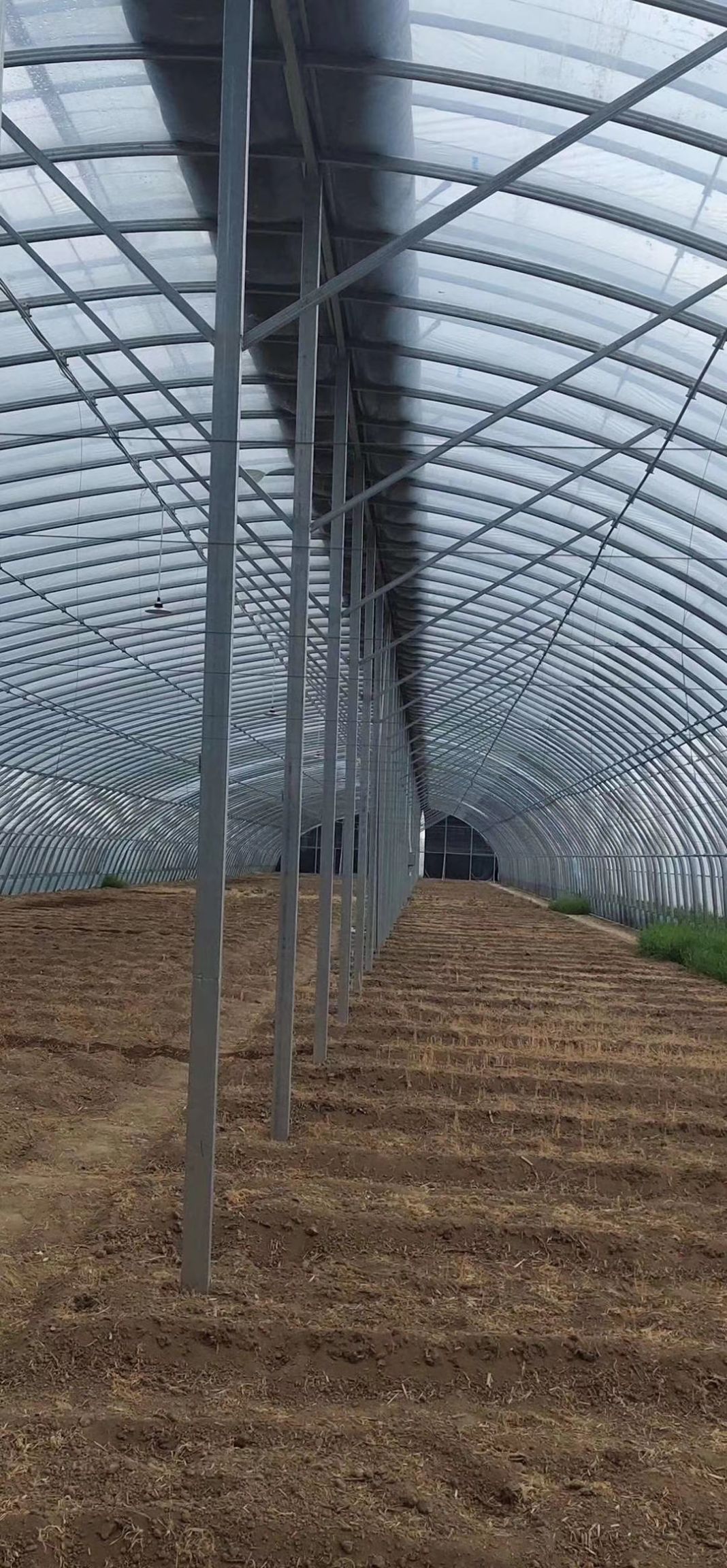 大棚 种植大棚 蔬菜大棚 温室大棚骨架、钢管
使用寿命20年