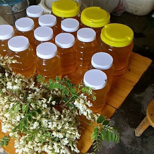 葫芦岛纯正蜂蜜