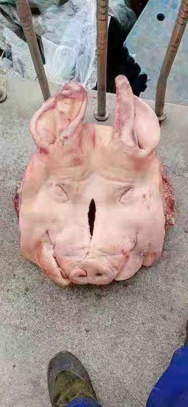 猪头  国产肥猪带耳头