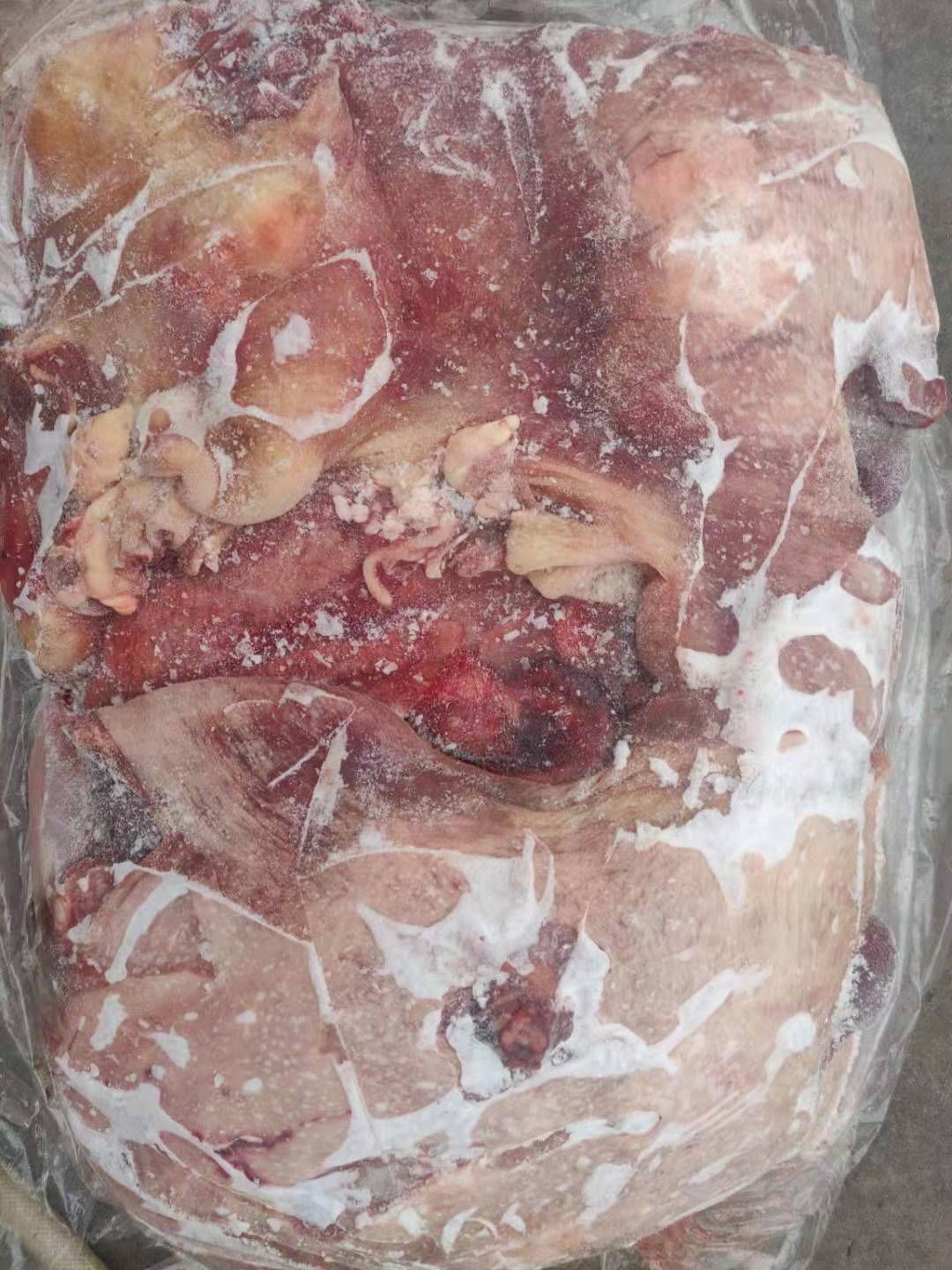 牛杂  厂家直销牛胎盘，一手货源，欢迎选购。