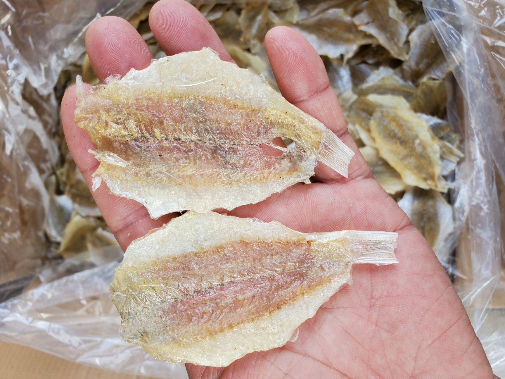 烧烤鱼片烧烤金三鱼片甜口一斤90片左右9成干以上