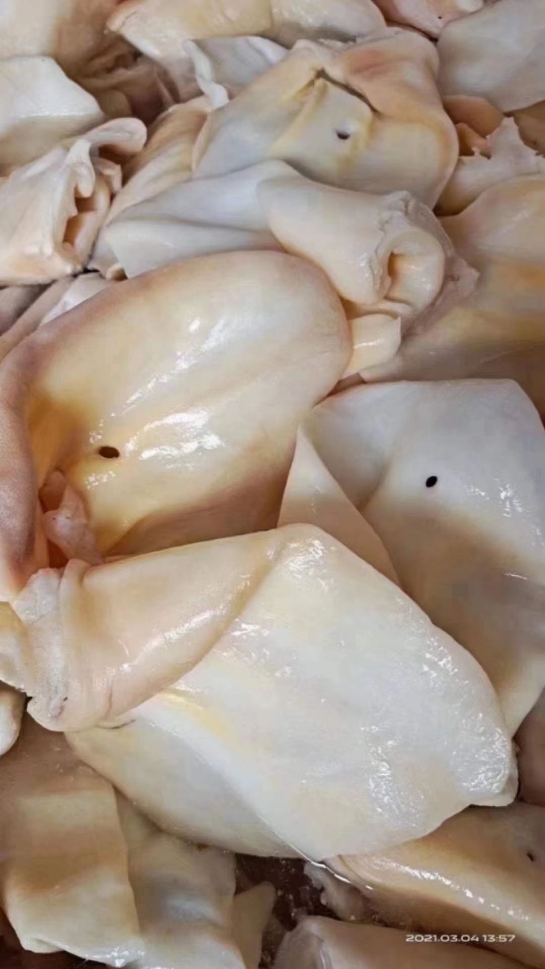 [牛耳批发] 生牛耳价格5.5元/斤 - 惠农网