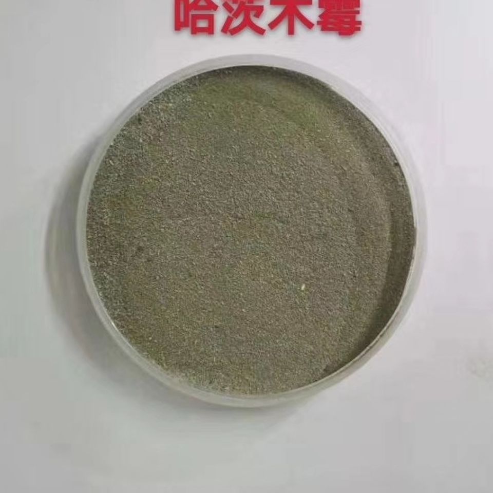 土壤微生物菌剂  哈茨木霉菌 抗死颗 抗烂苗 抗后期枯萎 消除真菌害