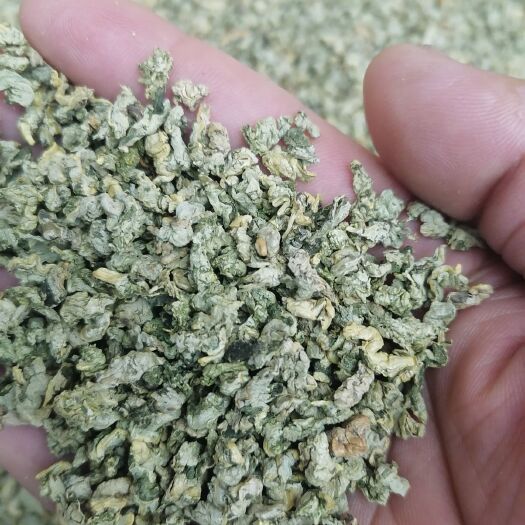 亳州 批发荷叶茶微山湖荷叶茶颗粒500克 100克散装花草茶