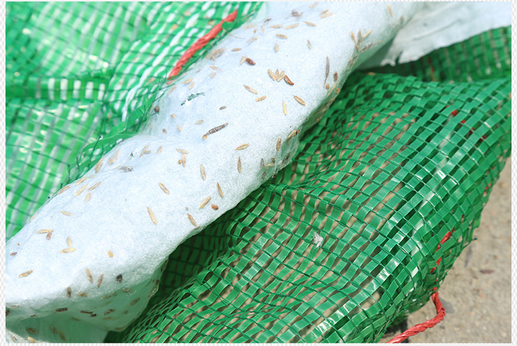 泰安生态袋 植生袋 植草袋  厂家直销  量大从优
