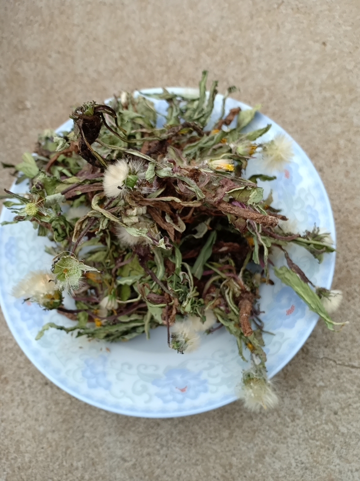 蒲公英茶  沂蒙山区里的优质蒲公英，产地直销，都是早期货