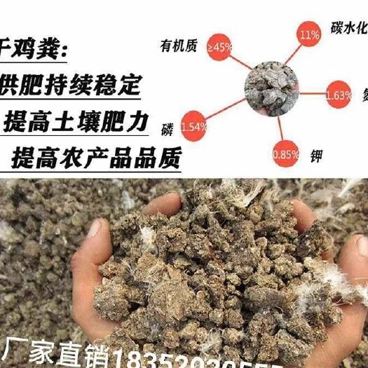 盐城干鸡粪