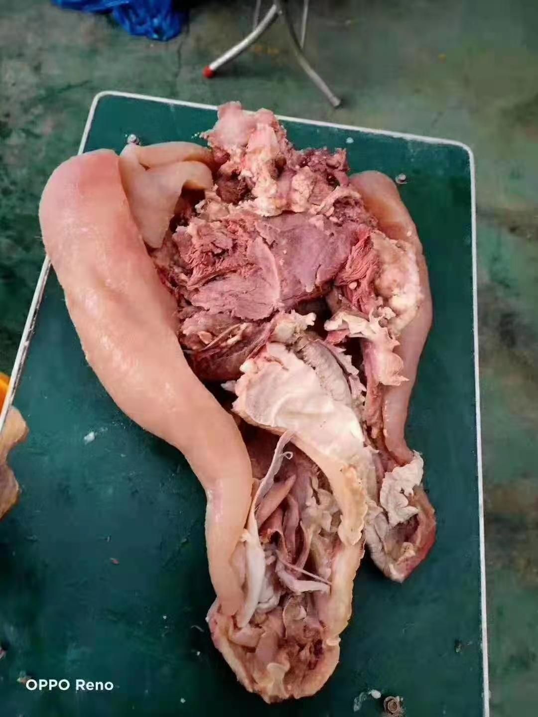 牛头 牛副产品  厂家直销全熟牛脸肉，一手货源，欢迎选购