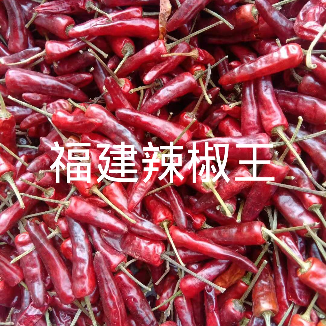 正宗福建辣椒王，卤货专用，假一赔十