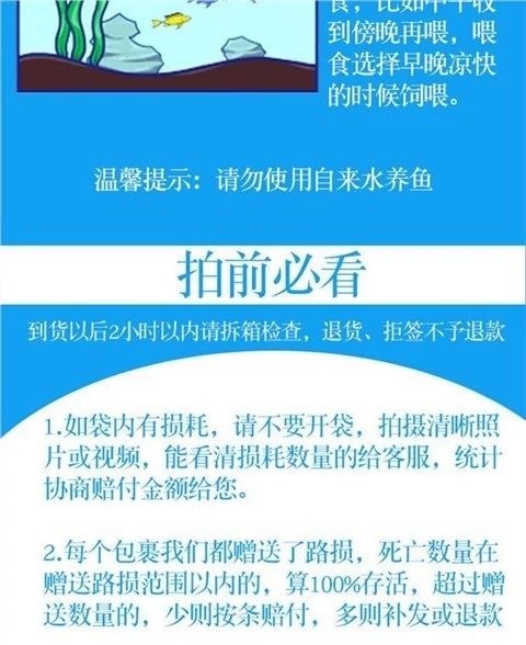 黄尾鲴鱼苗  黄尾鱼苗红尾鱼苗黄尾密鲴苗黄姑子黄尾巴