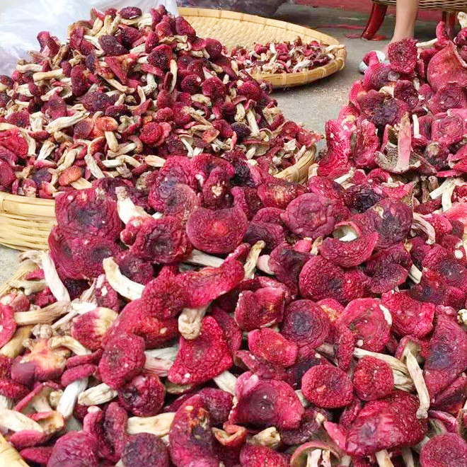 红菇 干货 野生 已开伞 