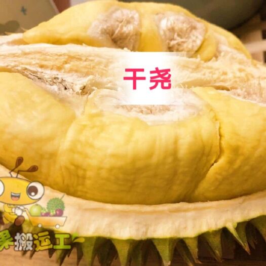 南宁 干尧榴莲550元/8公斤/爱吃榴莲得加我，泰国果园榴莲/包机