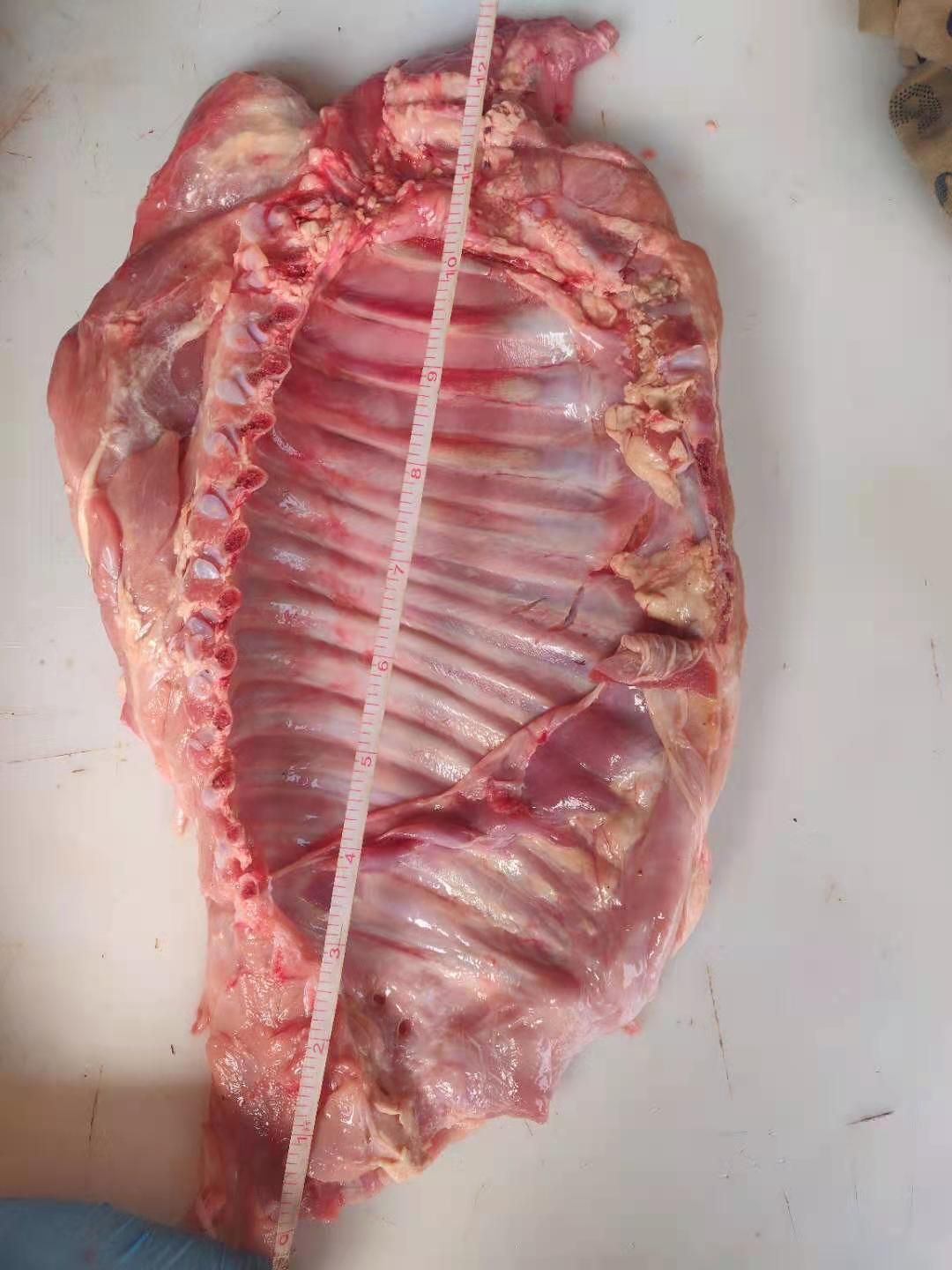 厂家直销乳牛排，一手货源，欢迎选购。