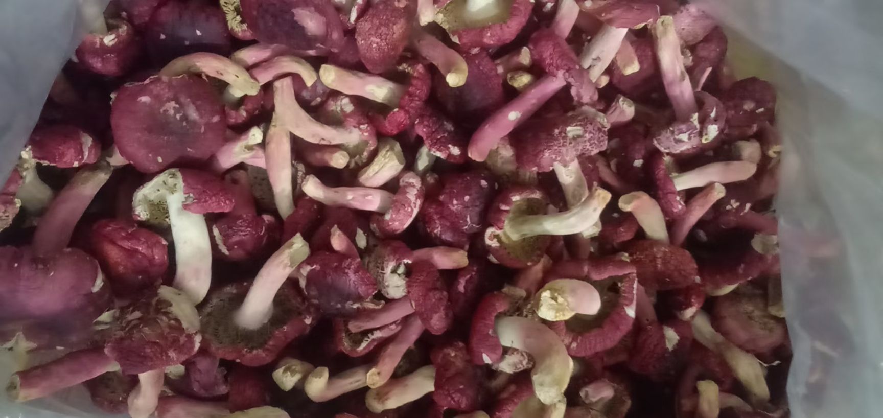 干菜 浦北长寿之乡红菇