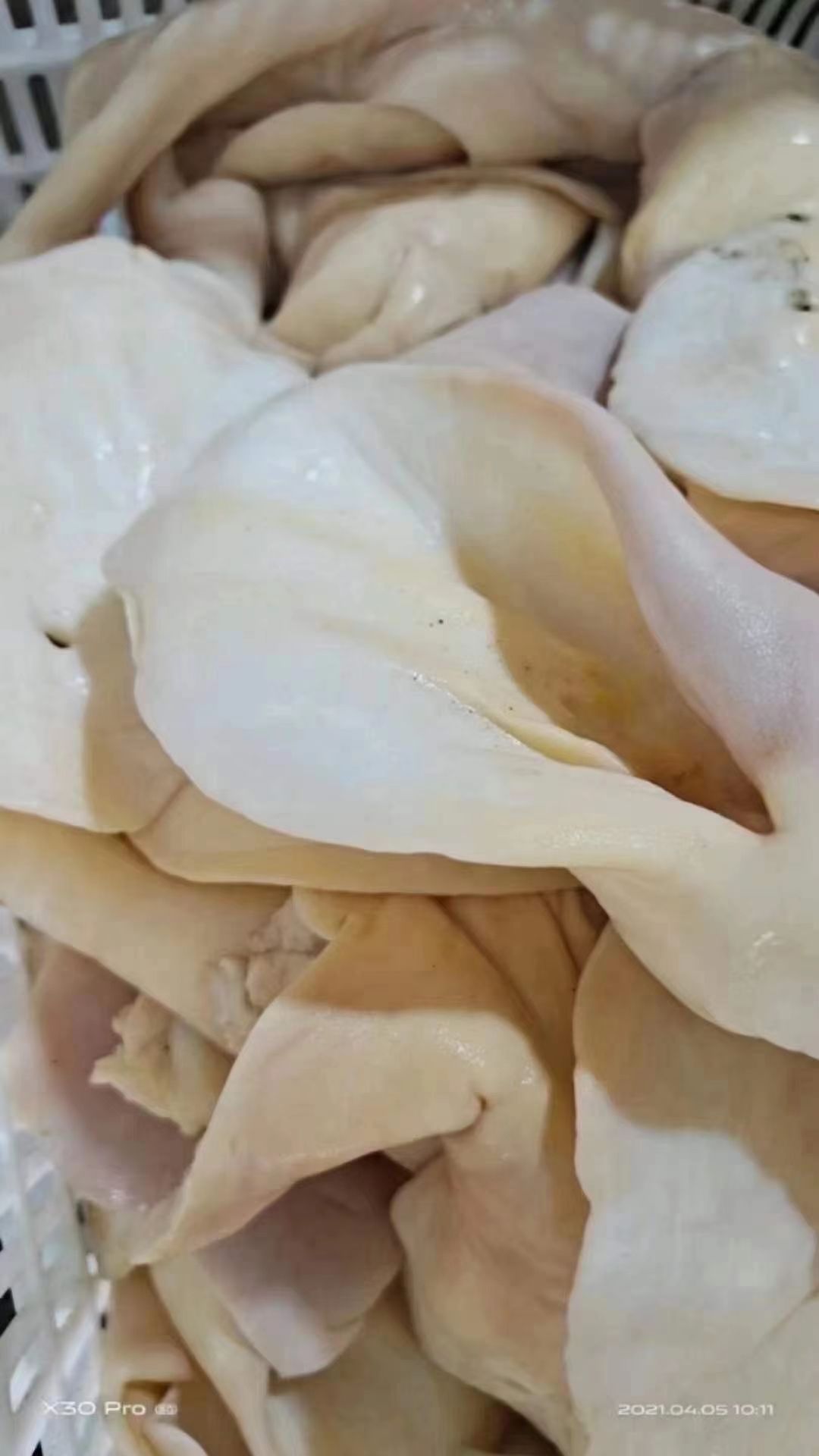 [牛耳批发] 生牛耳价格5.5元/斤 - 惠农网