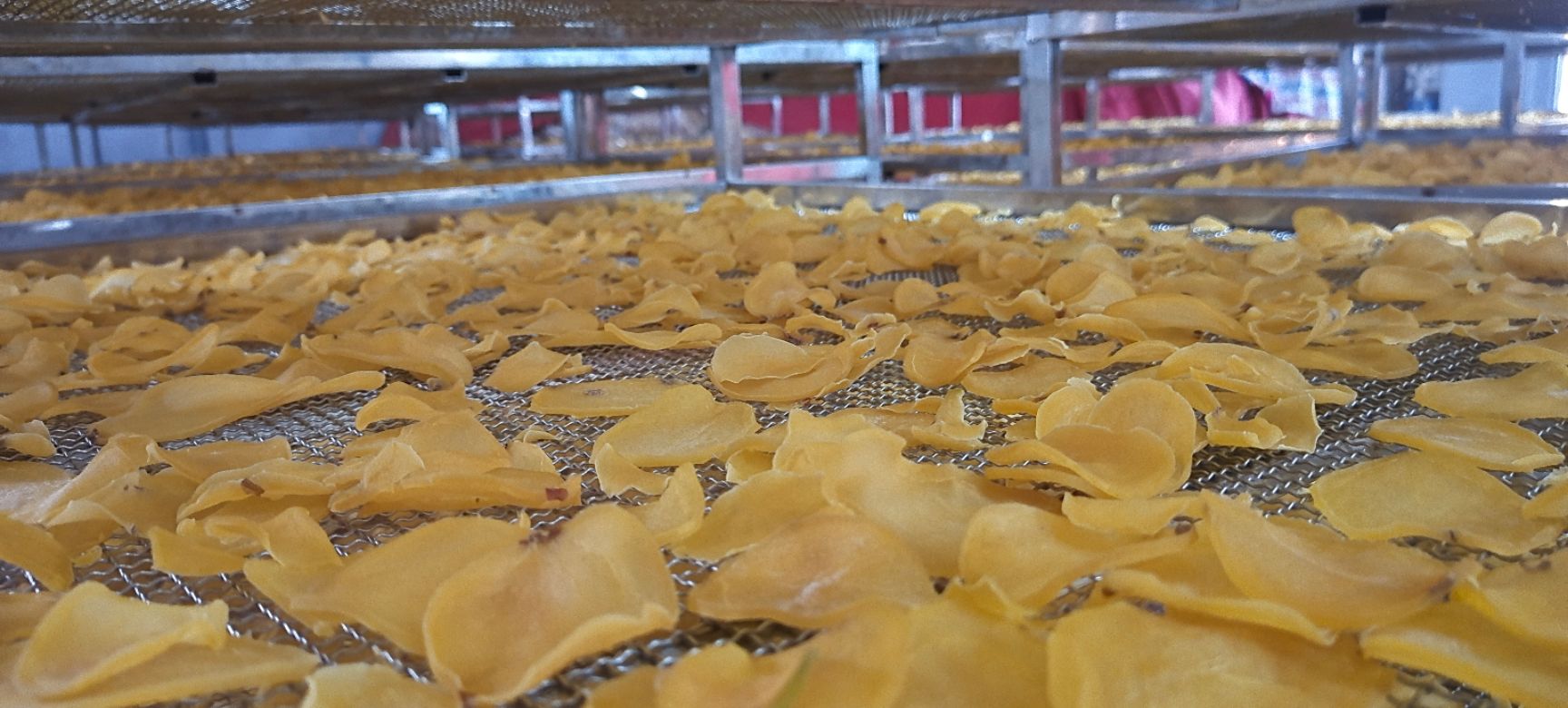 干土豆 脱水土豆片   产地自产自销、价格实惠！