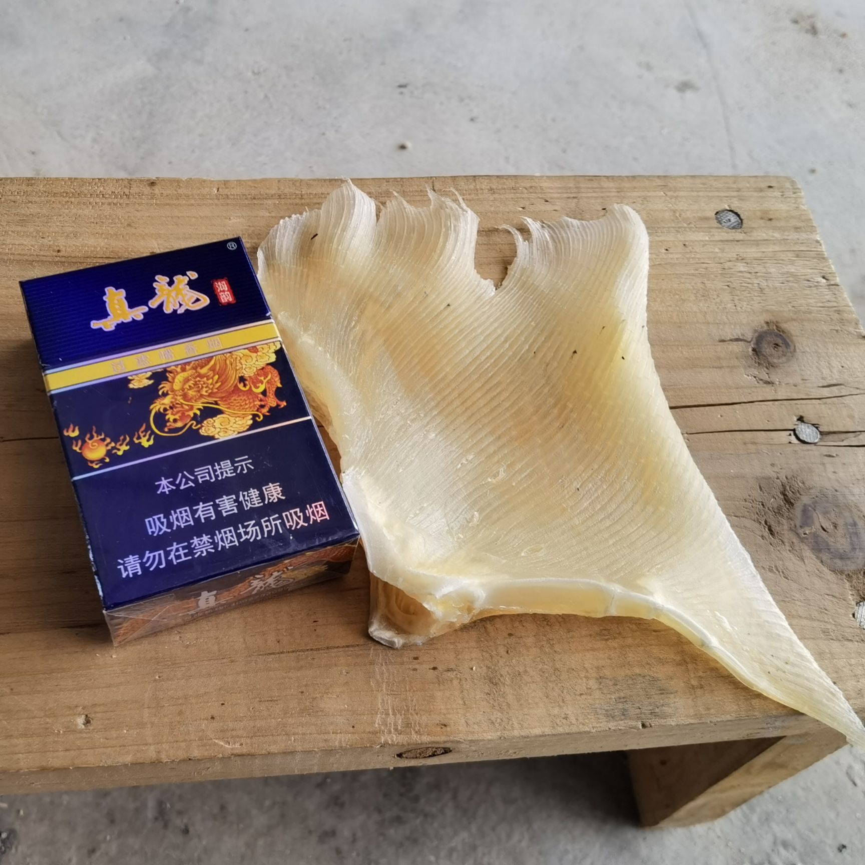 鱼皮  鱼翅  蒲鱼翅  魔鬼鱼翅  自产自销  一手货源
