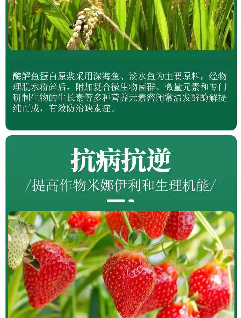 海藻鱼蛋白水溶肥，生根壮秧保花保果，40斤装